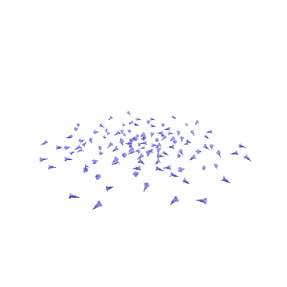 Other Plants Jacaranda blossom petals 