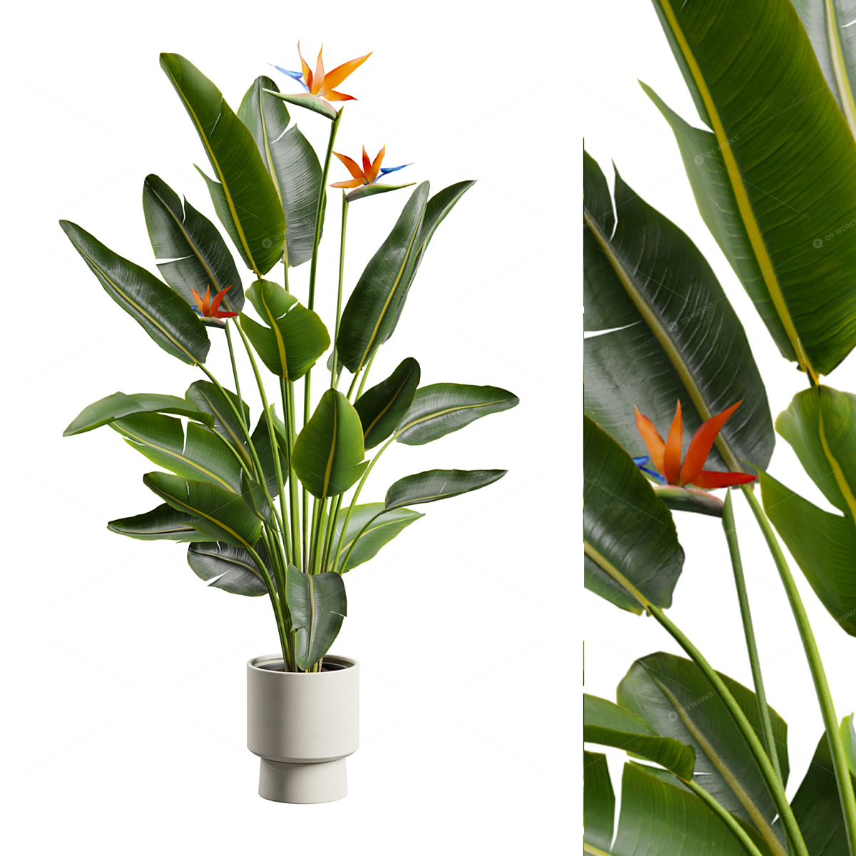 Greenery 3D Models