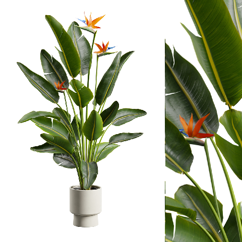 Modern Potted Plant
