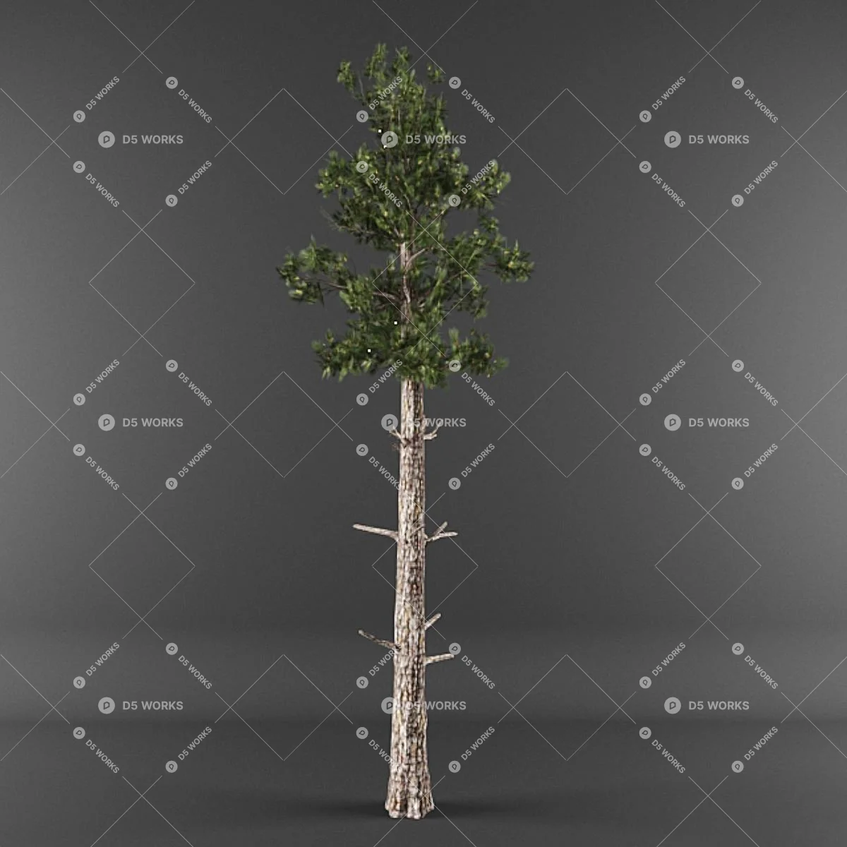 Modern Clean Tree Modern Trees