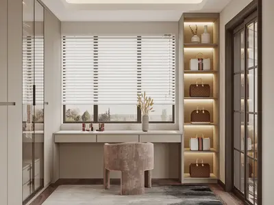 Modern Walk-in Closet