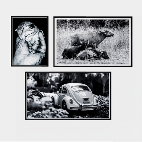 Modern Picture Frames