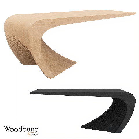 Modern Coffee Table