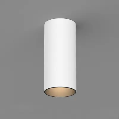 Modern Downlight & Spotlight