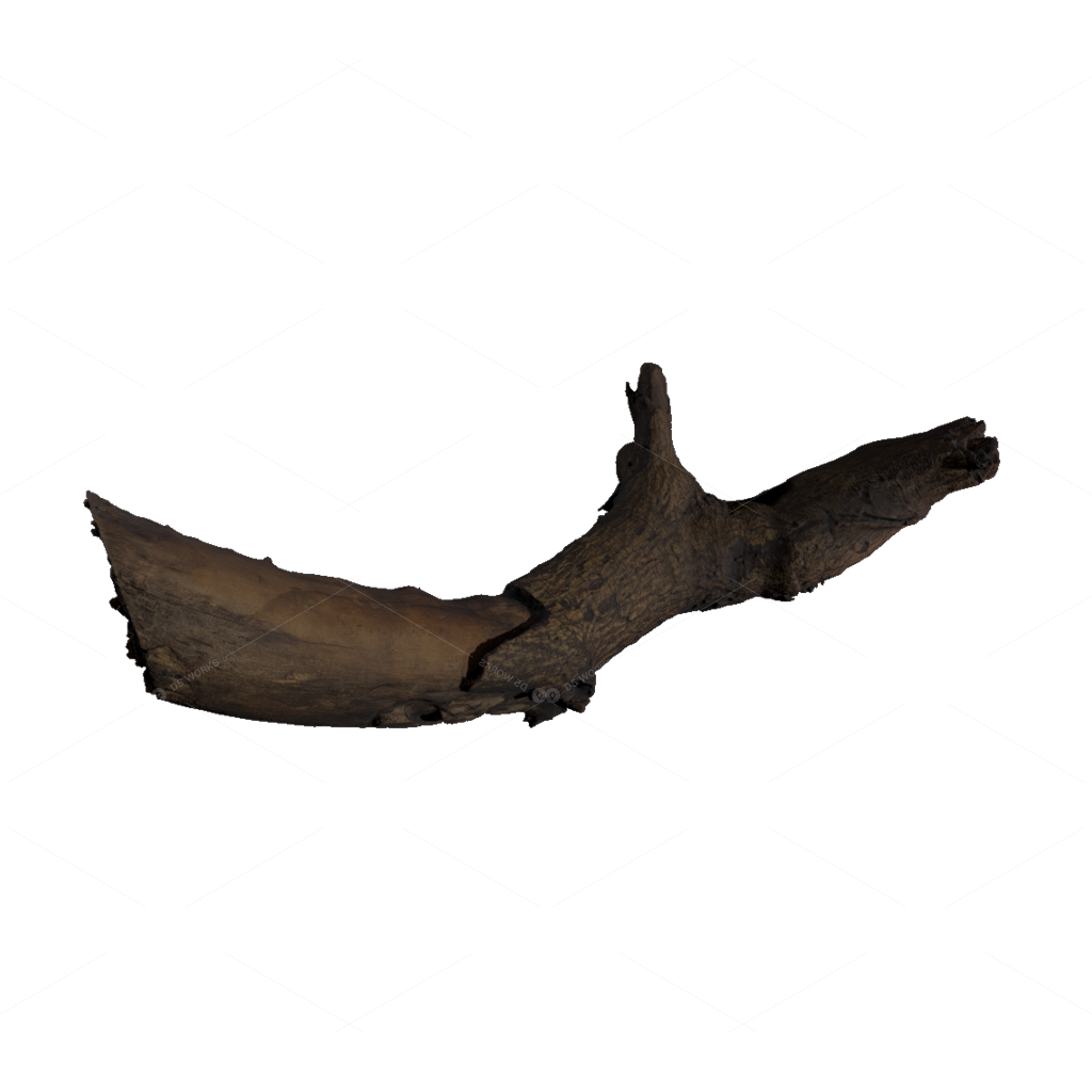 Other Botanicals 3D Models