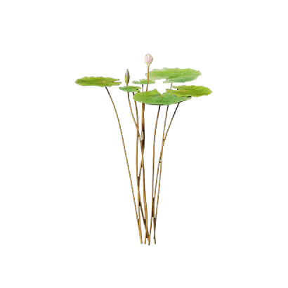 Aquatic Plants Nymphaea LightPink 01