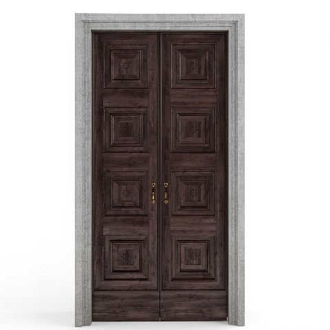 Modern Double Door