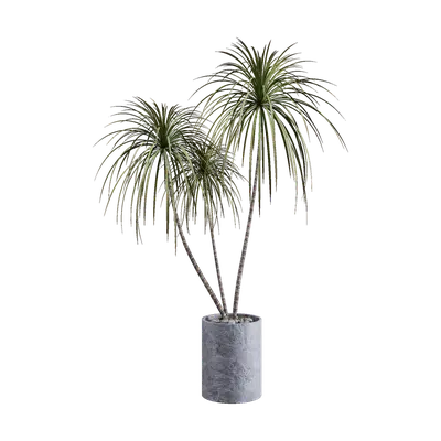 Modern Green Plants Potted Plants 14