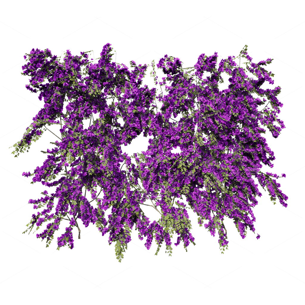 Climbing Plants 3D Models