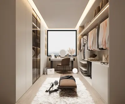 Modern Walk-in Closet