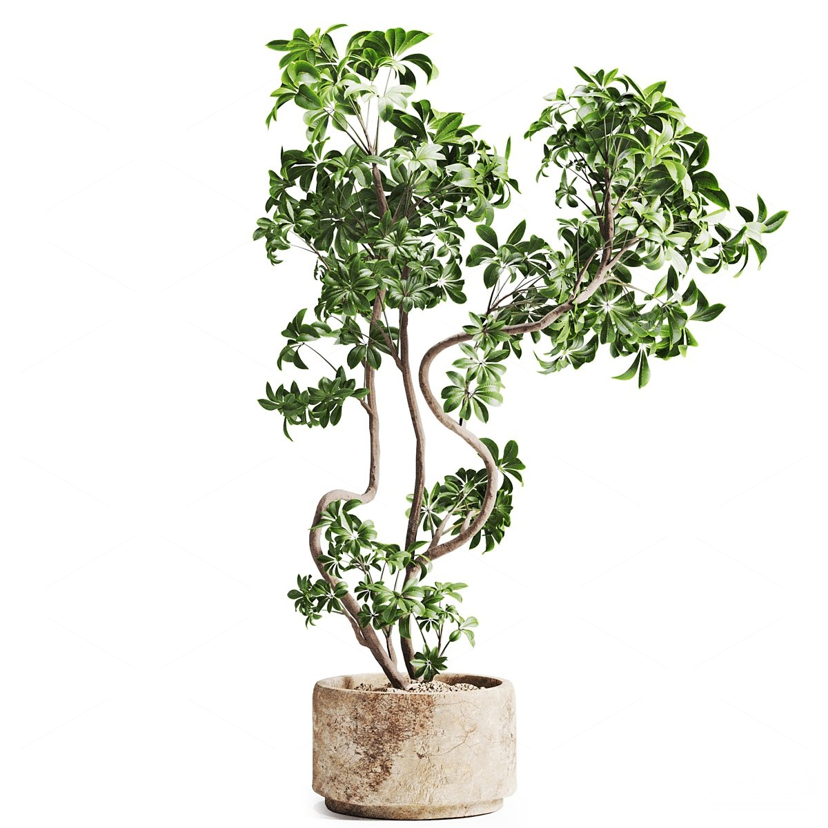 Greenery 3D Models