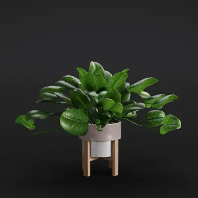 Modern Potted Plant