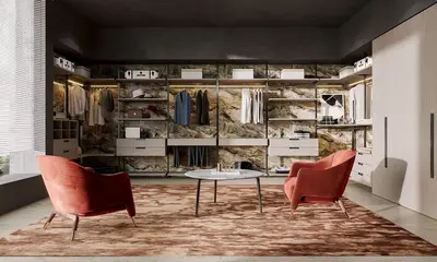 Modern Walk-in Closet