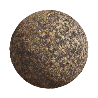 Dry Deciduous Woodland 03