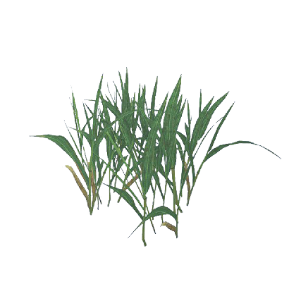 GrassMaterial01
