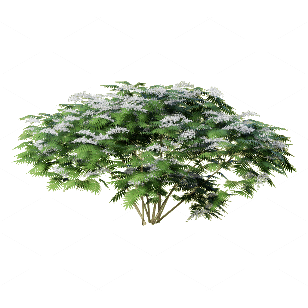 Shrubs 3D Models