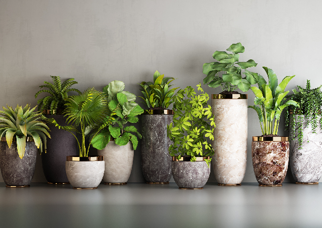 Modern Potted Plant