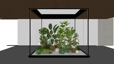 Indoor Landscape