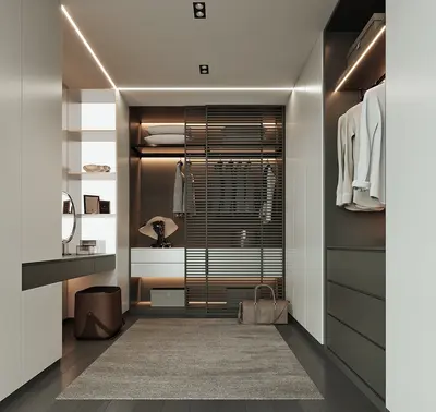 Modern Walk-in Closet 3d model