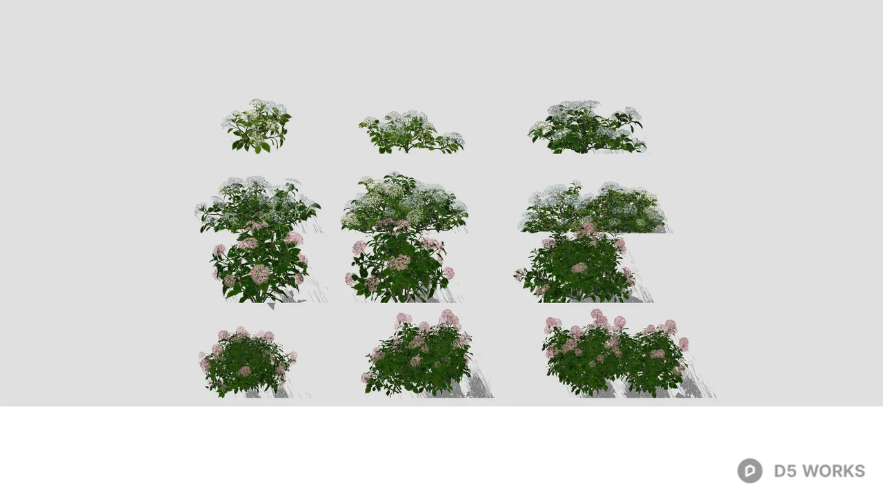 Floral Herbaceous Plant Arrangement 3d model - Image 1