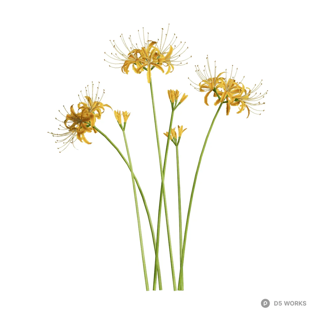 Lycoris aurea 03 3d model - Image 1
