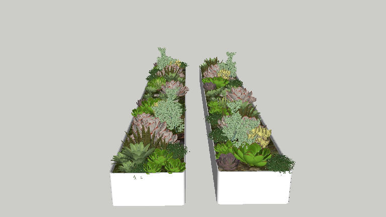 Modern Potted Plant