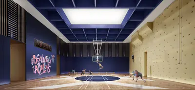 Modern Sports Court