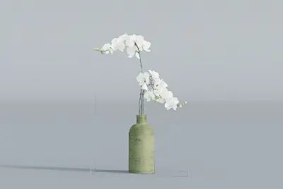 Minimalist Ceramic Vase With White Orchid 3d model