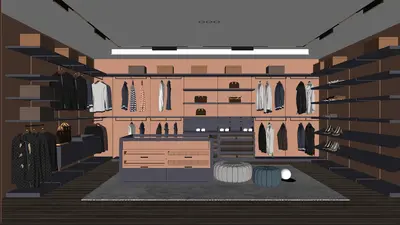 Modern Walk-in Closet