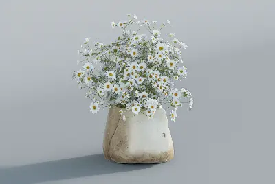 Rustic Ceramic Vase With Daisies 3d model