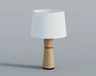 Contemporary Table Lamp