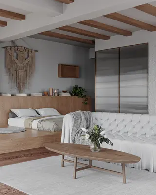 Organic Modern Scandinavian Studio Apartment