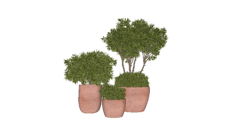 Modern Potted Plant