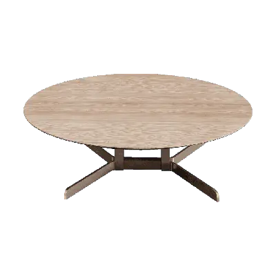 Campus Coffee Table 01 3d model