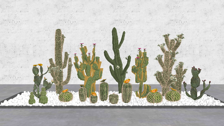 Modern Potted Plant