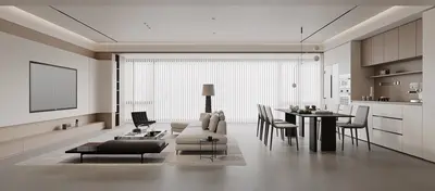 Modern Living & Dining Room