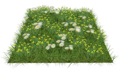 Flower & Grass Combination
