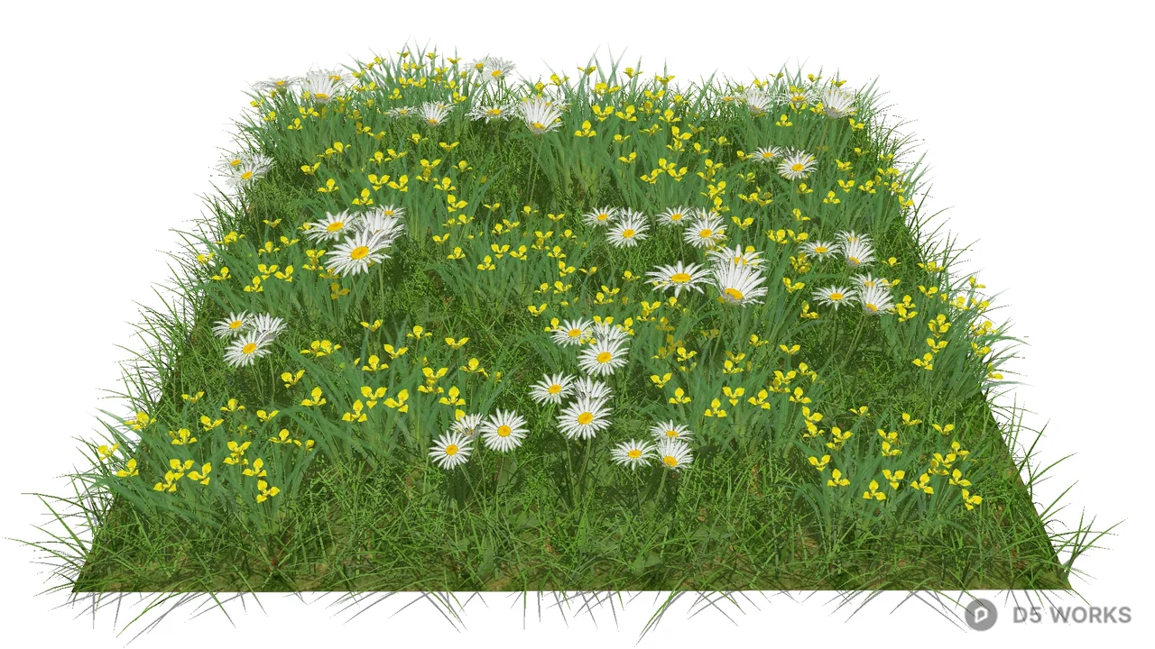 Daisy And Yellow Flower Ground Cover 3d model - Image 1