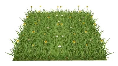 Flower & Grass Combination