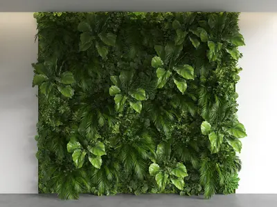Modern Green Wall