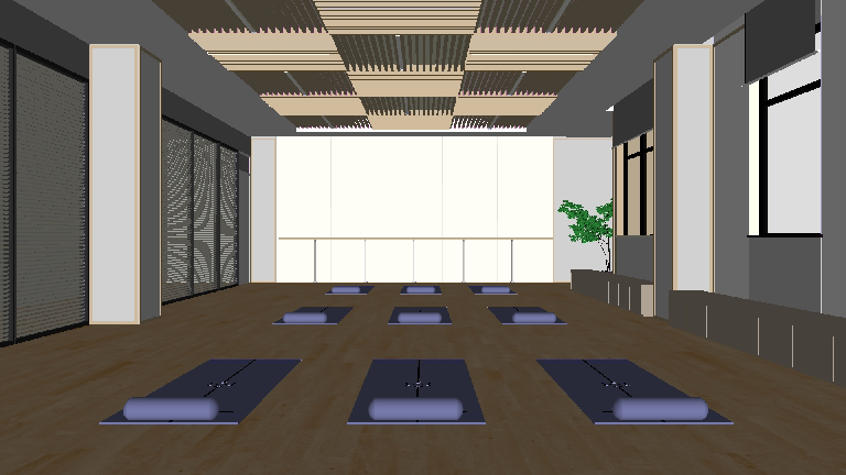 Modern Yoga Room