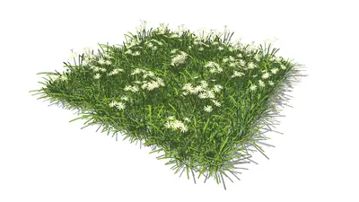 Flower & Grass Combination