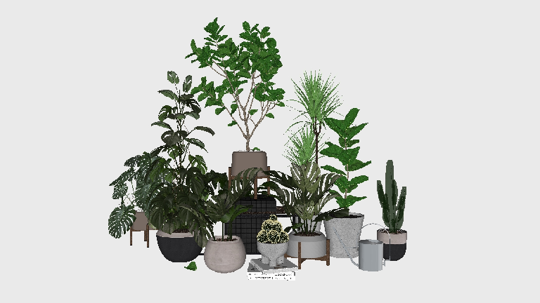 Modern Potted Plant