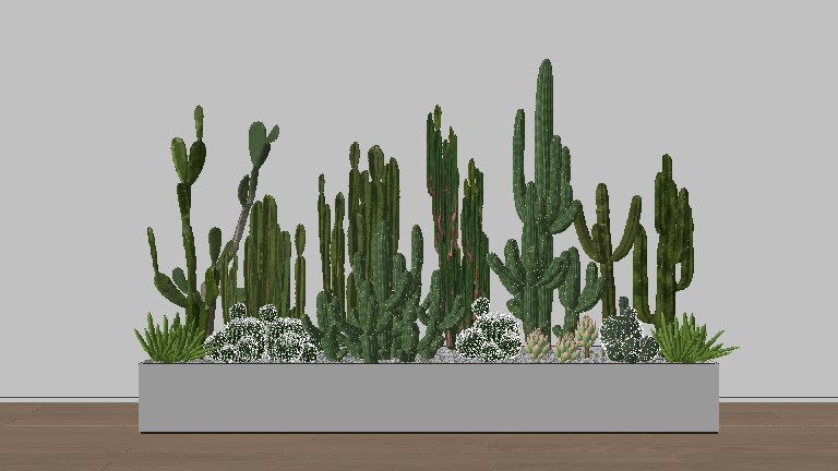 Modern Potted Plant