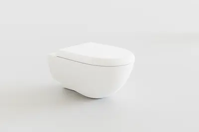 Modern Toilet