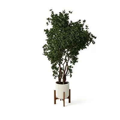 Potted Plant 3d model