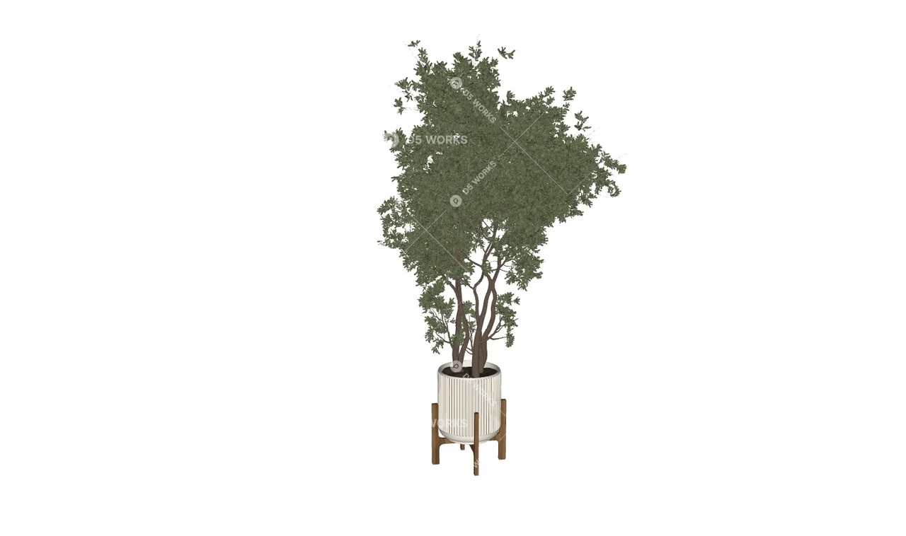 Potted Plant 3d model thumbnail 2