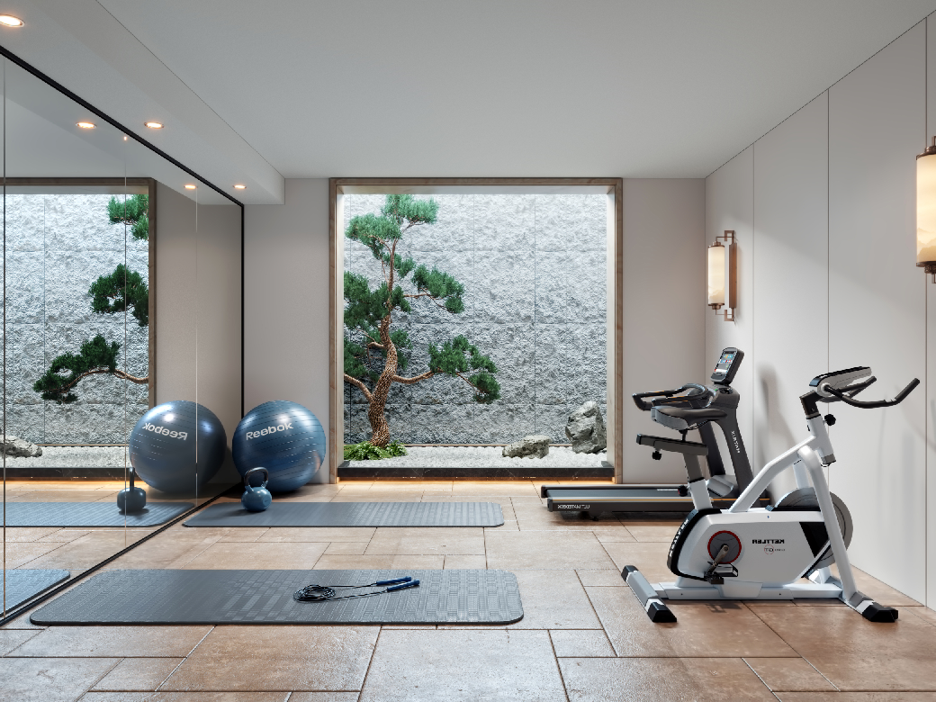 Modern Home Gym