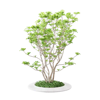 Grouped vegetation 24 3d model