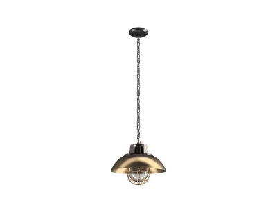 Eclectic Pendant Light
